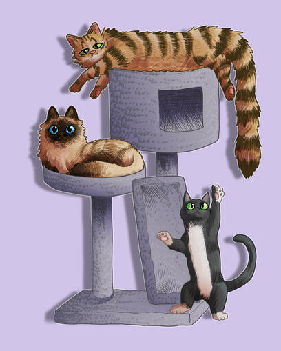 3 Cats, for Ray and Adam. 3 Cats, for Ray and Adam.